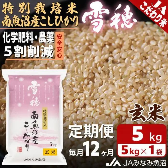 【JAみなみ魚沼定期便】特別栽培米南魚沼産こしひかり「雪穂」玄米（5kg×全12回）｜こしひかり