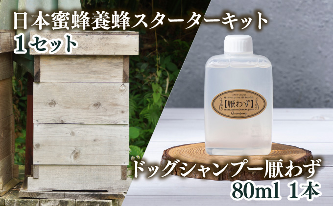 P-D1サポートも致します「日本蜜蜂養蜂スターターキット」＆携帯用「ドッグシャンプー　厭わず」80ml 【QCompany】