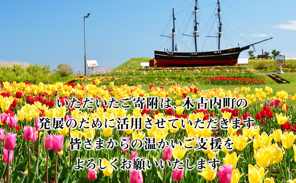 北海道 木古内町☆応援寄付金☆【返礼品なし】100,000円