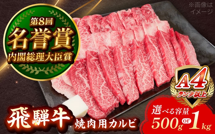 
            【選べる容量】 飛騨牛 焼肉用 カルビ 瑞浪市 / 肉のひぐち 国産 ブランド牛 和牛 [AZDE003]
          