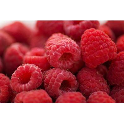 ふるさと納税 帯広市 有機JAS認証 冷凍ラズベリー2種食べ比べ 4.5kg (500g×9袋) |  | 01