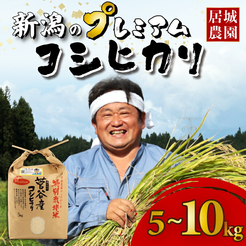【ふるさと納税】 新潟 コシヒカリ プレミアム 年内配送 5kg 10kg 令和7年産 米 選べる 配送月 容量 特別栽培米 こしひかり プレミアムコシヒカリ 精米 白米 ご飯 おにぎり 新潟県産 菅谷産 新潟 お米 こめ 居城農園 菅谷 新潟県 人気 新発田市 D78_2025P