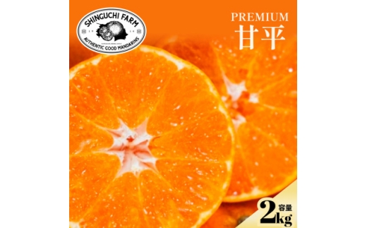 3/17受付終了_＜贈答用＞五代目が厳選した「完熟甘平」2kg＜D70-159＞【1707172】