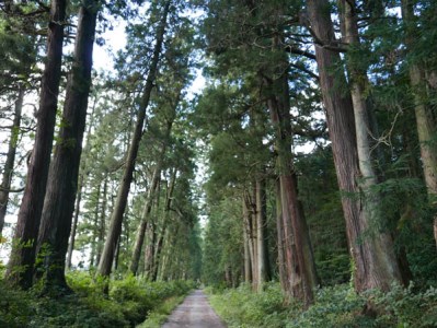 WELCOME日光クーポン 15000円分｜東武トップツアーズ 日光市 ホテル 観光 旅行 旅行券 宿泊 宿泊券 チケット 夏休み 紅葉  [0101]