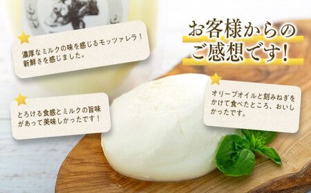 近藤牧場のモッツアレラチーズ（100g×2個） mi0003-0003