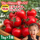 【ふるさと納税】【先行予約】フルティカ 1kg 【2024年10月以降順次発送】 糸島市 / かわぞえ農園 [AAM005] トマト 中玉トマト ミディトマト 14000円