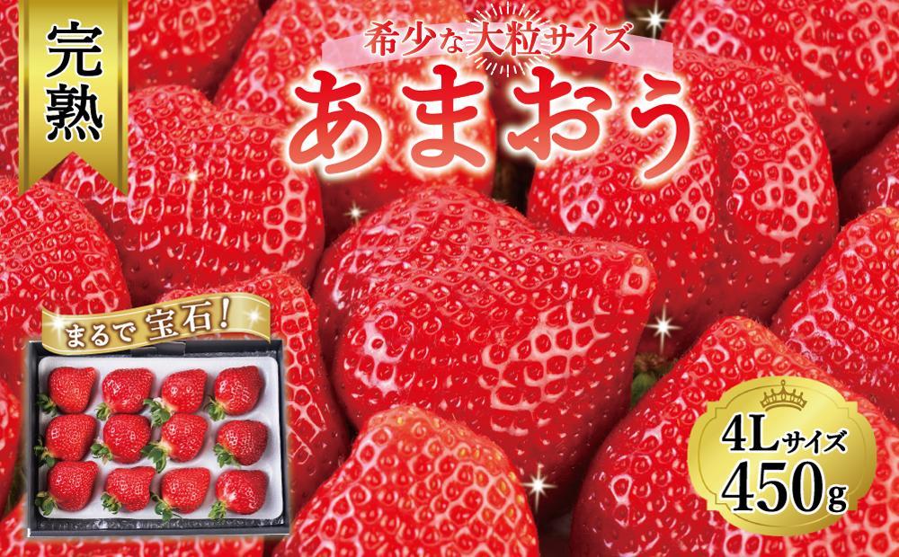 【2027年1月～4月出荷分予約販売】まるで宝石！希少な大粒サイズ！「完熟あまおう」4Lサイズ450g入り