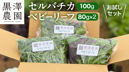 セルバチカ (ワイルドルッコラ) 100g と ベビーリーフ (80g × 2パック) の 黒澤農園 お試しセット ベビーリーフサラダ 生野菜 食べやすい 若葉 ファミリー 旬 新鮮 国産 彩り サラダ さらだ ルッコラ ハーブ 新鮮 国産 辛い セルバチコ ベビーリーフ イタリア野菜 イタリア料理 イタリアン パスタ 高級 トッピング 大容量 たっぷり 味見
