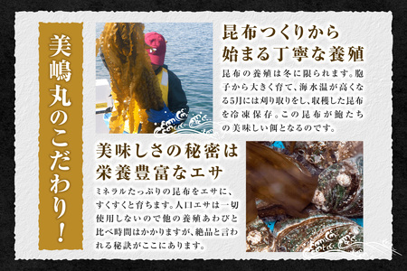 【干しあわび 5個入り 中サイズ 冷凍】発送目安：入金確認後2週間以内 国産 香住 山陰 アワビ 鮑 あわび 乾燥 乾燥あわび 干し鮑 中華料理 高級食材 縁起物 兵庫県 香美町 美嶋丸 20-17