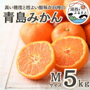 【ふるさと納税】【先行予約】【2025月1月より順次出荷予定】青島みかん約5kg Mサイズ〔鈴木農園〕【1510104】