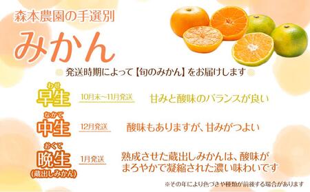 家庭用 森本農園の手選別 みかん 2kg +200g傷み補償付 和歌山県産 2S~2Lサイズ混合 【北海道・沖縄・離島配送不可】【RN6】