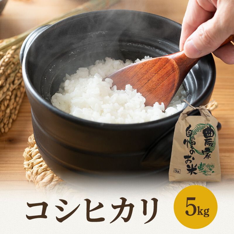 【ふるさと納税】【12月お届け】若狭町コシヒカリ5kg 米 お米 こしひかり 福井県　お届け：2026年12月上旬から下旬