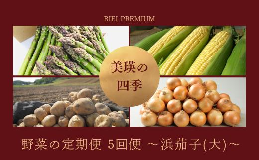 
            【先行予約】<令和8年産 > 美瑛の四季 野菜 定期便【浜茄子(大)】5回便 |  アスパラ とうもろこし 食べ比べ 送料無料 セット 玉ねぎ 人気 おすすめ ランキング いも 芋 イモ じゃがいも ジャガイモ 玉ねぎ タマネギ 玉葱 野菜 5か月 5回便 5回[076-05]
          