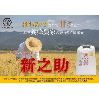 ふるさと納税 阿賀野市 【令和7年産】3ヶ月定期便 HACHIBEI はちみつ農法 新之助 無洗米 10kg×3回 |  | 02