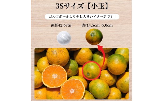ゆら早生 みかん  ≪小玉≫ 4.5kg (3Sサイズ)  / みかん 小玉サイズ 甘い 蜜柑 フルーツ 果物 くだもの 食品 人気 晩柑 おすすめ 送料無料 産地直送 和歌山 由良町 ※2026年1