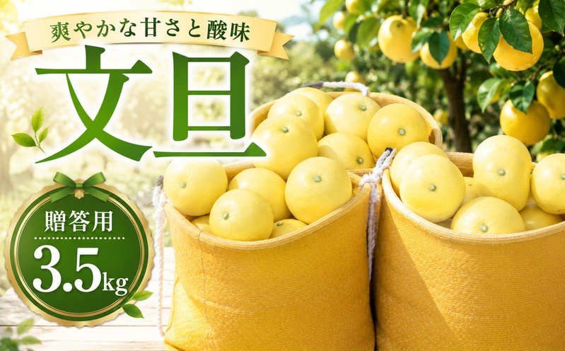 
                  【先行予約：2027年2月上旬～発送】贈答用 文旦 3.5kg L玉 土佐文旦 文旦 みかん 蜜柑 予約 数量限定 ギフト プレゼント 常温 愛南町 大串農園
                