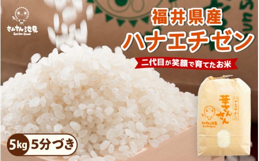 【令和7年産】ハナエチゼン 5kg 華越前 ～坂井市三国町産・こだわりの精米対応～ （5分づき） [A-0264_03]