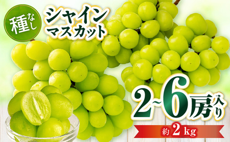 【先行受付】シャインマスカット 2～6房入り(約2kg) | マスカット ぶどう ブドウ 葡萄 果物 フルーツ 人気 香川 香川県 三木町 種なし 皮ごと食べられる ジューシー 旬 おすすめ |_mk006-107