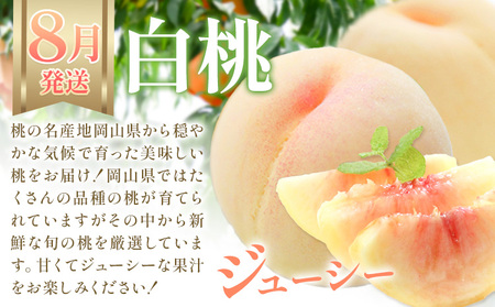 【2027年発送先行予約】【2か月定期】岡山の 白桃 と シャインマスカット 計4kg【配送不可地域あり】
