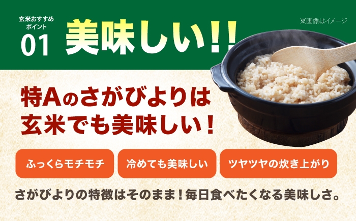 さがびより 玄米 10kg ( 5kg×2袋 ) 【ひなたむらのお米】 [HAC003]米 佐賀 佐賀県産 特A評価 玄米