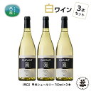 【ふるさと納税】 ワイン 白ワイン 笹一酒造 OLIFANT 甲州シュールリー 750ml×3本 辛口 酒 お酒 アルコール 国産ワイン 食前酒 食中酒 ぶどう ブドウ 葡萄 プレゼント お祝い 記念日 ギフト 父の日 母の日 家呑み パーティー 送料無料 山梨県 西桂町