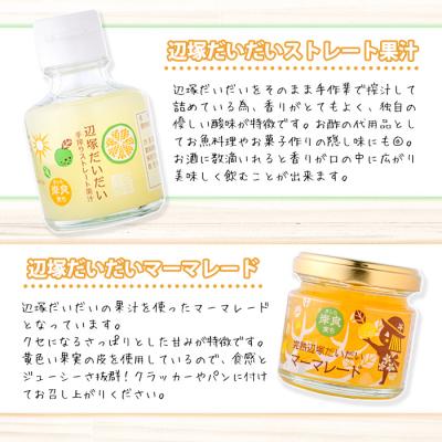 ふるさと納税 肝付町 <世界でここだけ果実>調味料で手軽に味わう入門セット!GI(地理的表示)登録産品!　A20005 |  | 01