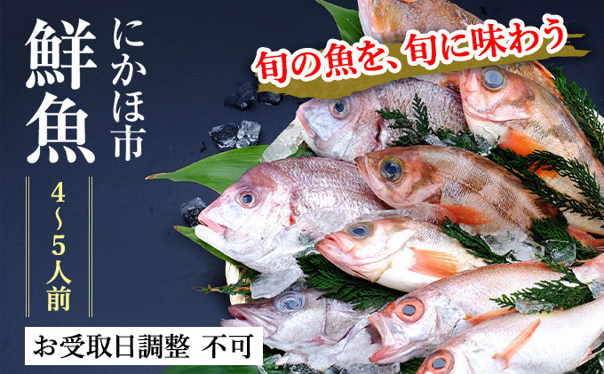 
            発送メールのみ 日本海の鮮魚詰め合わせ（4～5人前 下処理済み 切り身 魚介 セット）
          