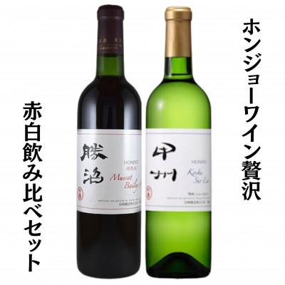 ふるさと納税 甲州市 ホンジョーワイン贅沢赤白飲み比べセット　B15699