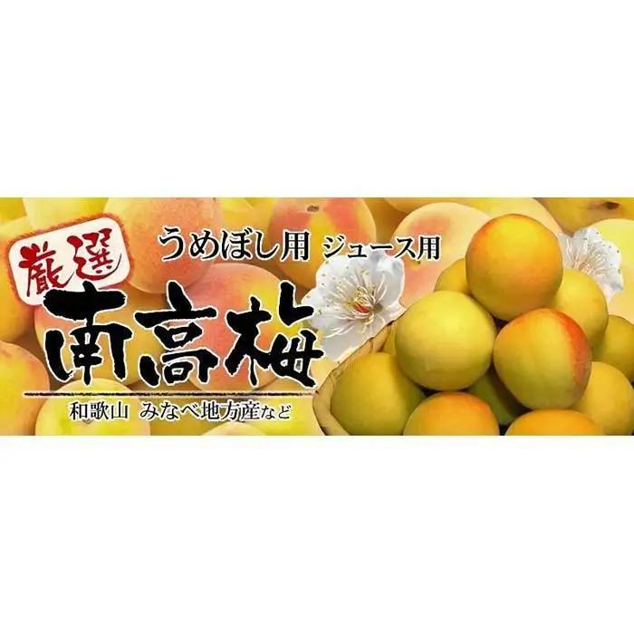 南高梅【完熟】黄色5kg ■特大サイズ 梅干用フレッシュ青梅 (生梅) ／紀伊国屋文左衛門本舗