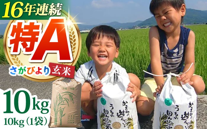 
                  【発送月が選べる】令和7年産 さがびより 玄米 10kg【ひなたむらのお米】 [HAC004]米 佐賀 佐賀県産 特A評価 特A米 玄米
                