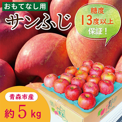 【CAりんご】糖度13度以上保証サンふじ約5kgおもてなし用【配送不可地域：離島・沖縄県】