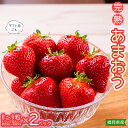 【ふるさと納税】あまおう（8粒～9粒×2パック）1パックあたり約250g～約410g いちご 苺 福岡 高級 フルーツ お取り寄せ ご当地グルメ 福岡土産 取り寄せ グルメ 福岡 赤村4H1