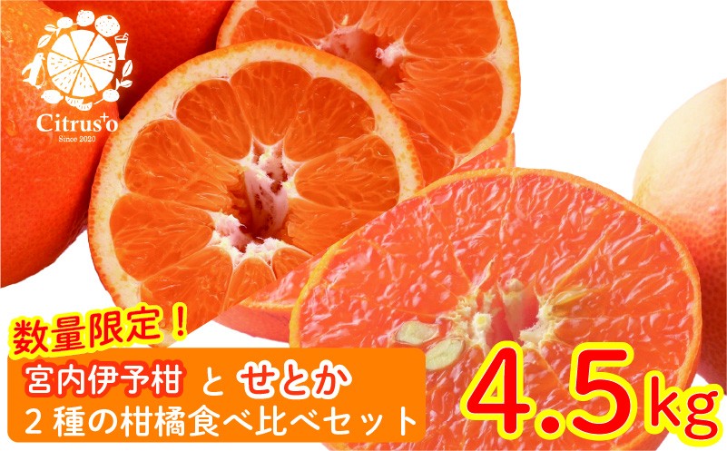 
            【2026年2月上旬から発送】宮内伊予柑とせとか 2種の柑橘食べ比べセット 4.5kg | せとか セトカ みかん 柑橘 みかん フルーツ みかん 食べ比べ ミカン みかん 蜜柑 柑橘 果物 くだもの フルーツ おすすめ 高級 伊予柑 イヨカン いよかん 柑橘の大トロ「せとか」 人気 お取り寄せ グルメ ギフト 期間限定 数量限定 愛媛県 松山市
          