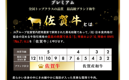 【訳あり】佐賀牛ヒレサイコロ 600g / 牛肉 ブランド牛 / 佐賀県 / 佐嘉ZEYTAKUYA（株式会社丸宗ミート）[41AQAA018]
