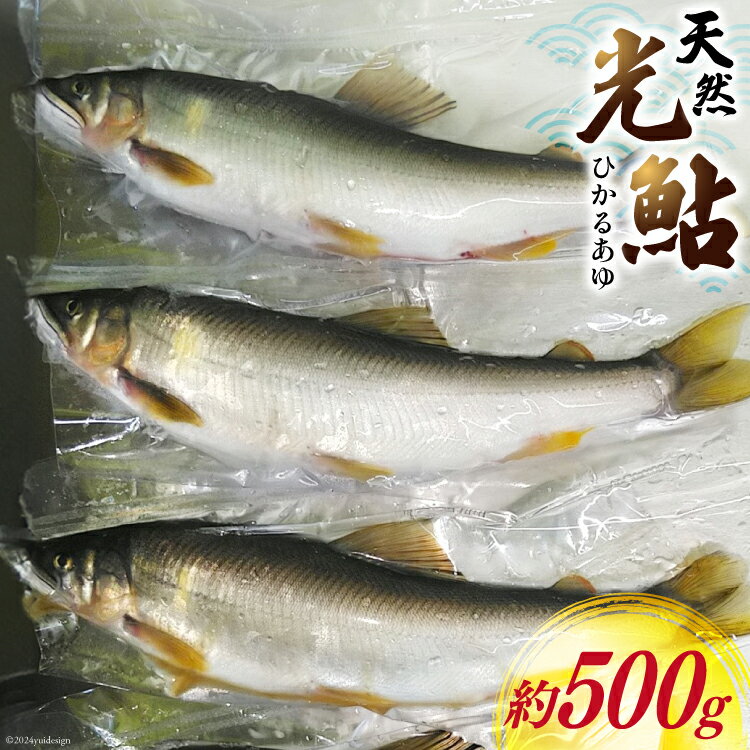 【ふるさと納税】【数量限定】 宮崎県 美郷町 天然 鮎 約500g [小丸川天然鮎工房hikaru 宮崎県 美郷町 31af0005-NEW] 数量限定 あゆ アユ 急速 冷凍 宮崎県産 小丸川 送料無料