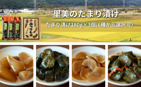 【漬物 種類指定可】里美のたまり漬け(180ｇ×3個/ 胡瓜たまり 辛入り胡瓜たまり 福里漬 大根たまり 楽京たまり ごまちゃん) 漬物 