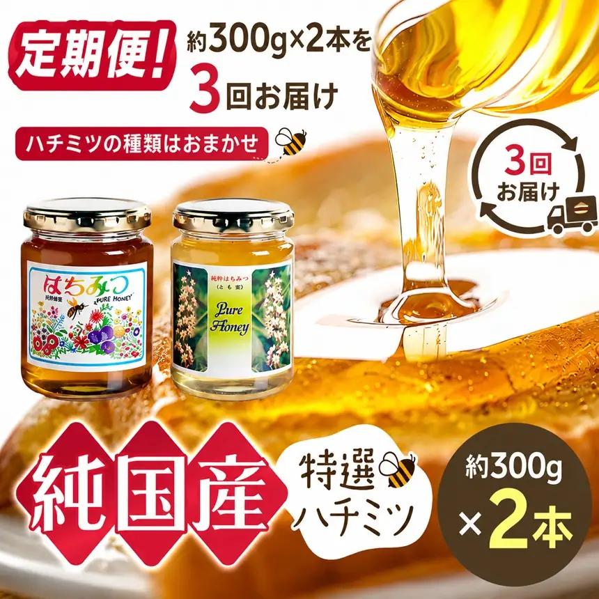【定期便】芳川養蜂場特選ハチミツ 約300g × 2本 × 3回 | ハチミツ はちみつ 蜂蜜 国産 定期便 長野県 信州 木島平村
