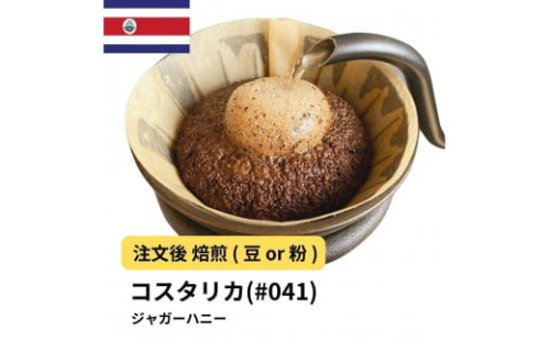 コーヒー #041 コスタリカ FSHB タラス ジャガーハニー 310g 当日焙煎 大山珈琲 （豆または中挽きから選択）