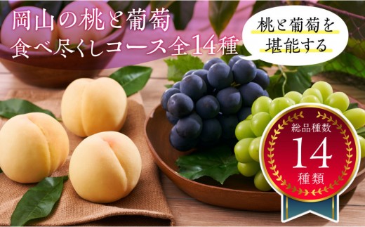 
                  岡山の桃とぶどう 食べ尽くしコース全14種（14回お届け）
                