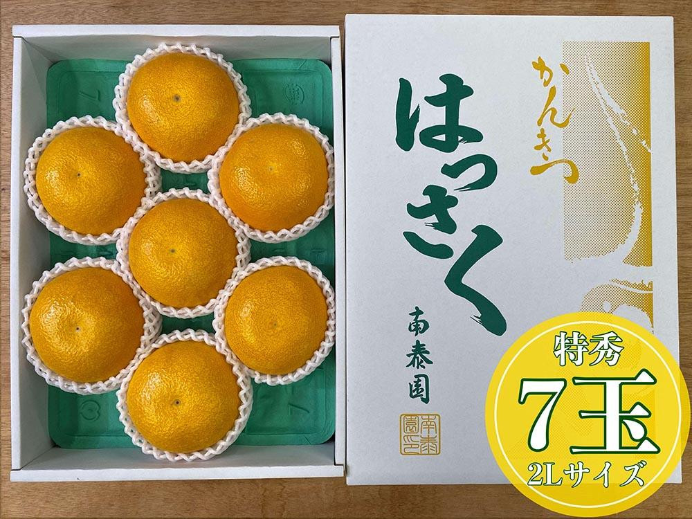 
化粧箱 手詰め 有田 はっさく 特秀 大玉 2L サイズ × 7玉入 南泰園
