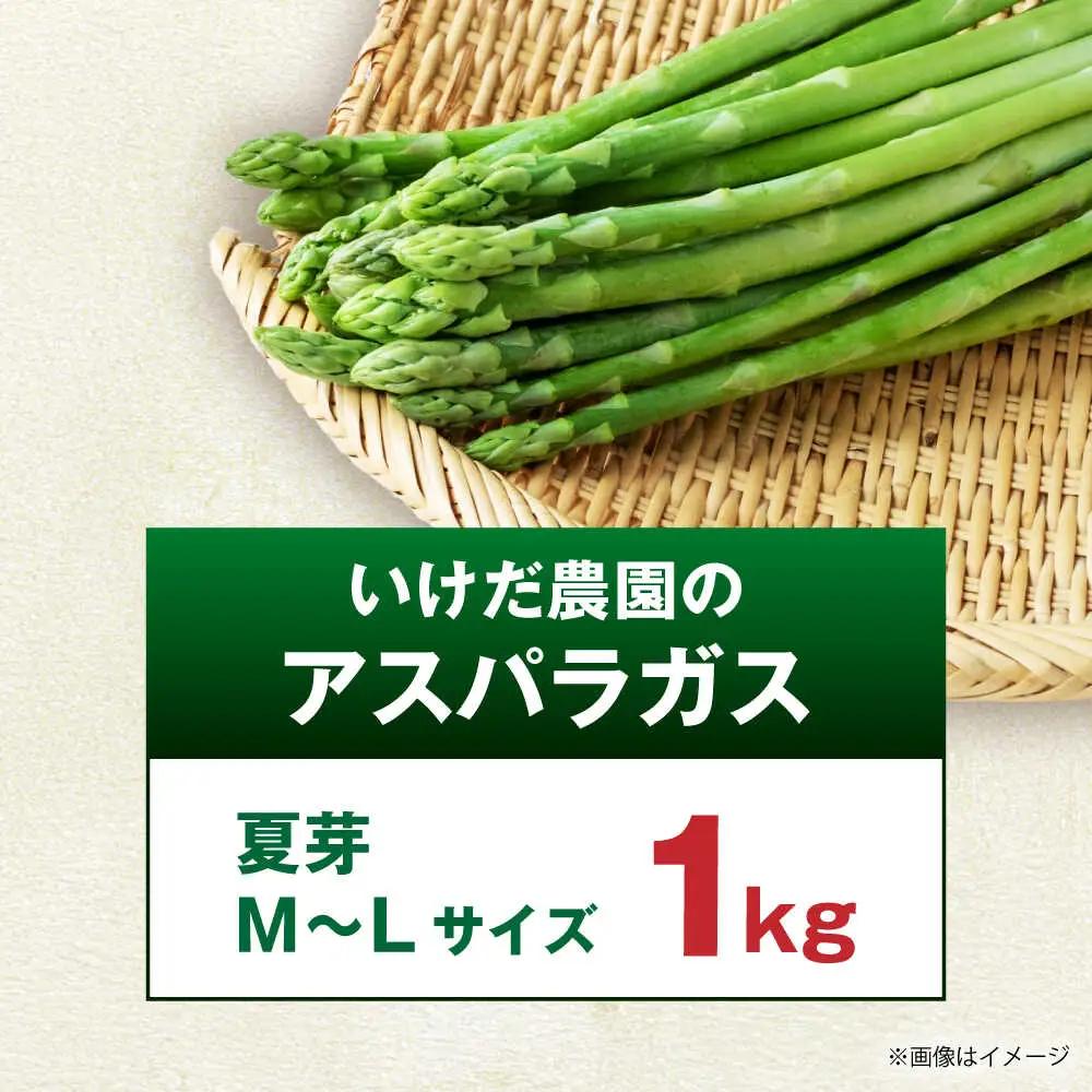 【先行予約】 山鹿市産 いけだ農園のアスパラガス 夏芽(MからLサイズ)　約1kg【いけだ農園】[ZFP001]