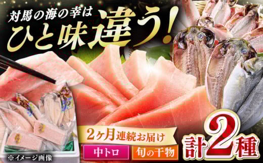 【全2回定期便】対馬産 本マグロ 中トロ300g ＆干物《対馬市》 【対海】 新鮮 マグロ 鮪 本鮪 トロ 海鮮 冷凍 浜干し 中とろ 本マグロ 干物 ひもの [WAH031]