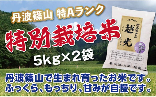 【特Aランク】令和7年産 丹波篠山産 特別栽培米 コシヒカリ 5kg × 2袋 計10kg〈食味値83点以上〉特別栽培米 減農薬栽培 精米したて 阪本屋 兵庫県 丹波篠山市 こしひかり 米 精米 白米