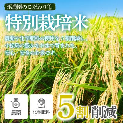 ふるさと納税 小松島市 【2026年9月順次発送】特別栽培米　にじのきらめき 白米 1.5kg 小松島市 米 新米 |  | 01