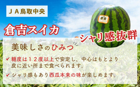 【倉吉産】倉吉スイカ 2玉 JA鳥取中央 スイカ 糖度12度以上