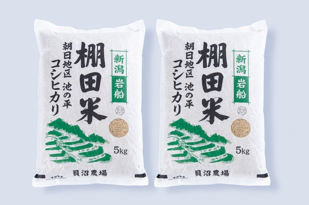 【新米受付・令和7年産米】【定期便：3ヶ月連続でお届け】 新潟県村上市岩船産 棚田米 コシヒカリ 玄米10kg ＋ 棚田米コシヒカリのパックごはん(150g×1個)×3ヶ月 1067124N