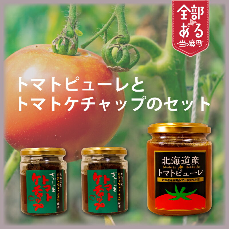 【ふるさと納税】 濃厚トマトケチャップ トマトピューレ セット 北海道 当麻町 ケチャップ2個 ピューレ1個 お取り寄せ グルメ 送料無料 エコみらい