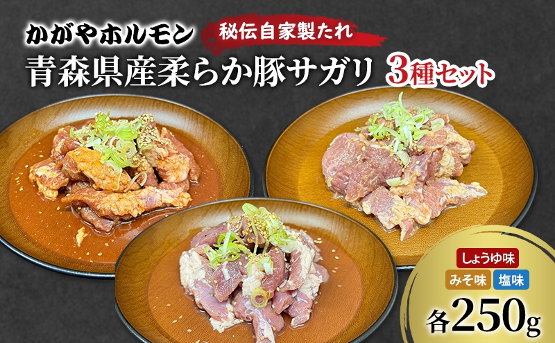 
            [№5554-0296]かがやホルモン 秘伝自家製たれ 当店自慢 青森県産 柔らか 豚 サガリ 3種 セット みそ味 しょうゆ味 塩味 肉 豚肉 味付け肉 真空パック
          
