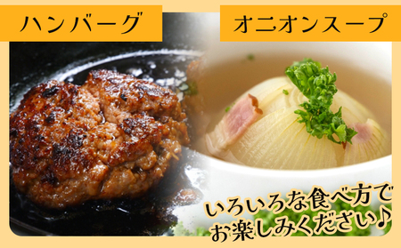 玉ねぎ 10kg 家庭用 野菜 高知 大小混合 【玉ねぎ 玉葱 タマネギ 玉ねぎ 高知県 たまねぎ 玉ねぎ 玉ねぎ 玉ねぎ 玉ねぎ 玉ねぎ】 高知県 香南市 ke-0038