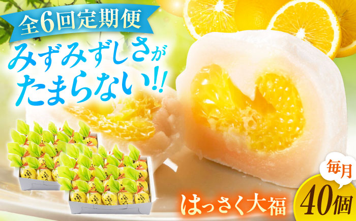 
            【ふるさと納税】【全6回定期便】お菓子 はっさく大福20個入×2　 お菓子 大福 八朔 柑橘 みかん オレンジ 餅 ギフト お取り寄せ スイーツ フルーツ大福 ご当地 菓子 おかし デザート 食品 人気 おすすめ 広島県福山市/株式会社虎屋本舗[BADH035]
          